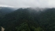 Góry pokryte lasami