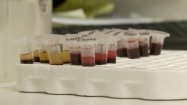 Probówki z krwią w laboratorium
