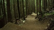 Leśna ścieżka do jazdy rowerem