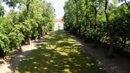 Aleja lipowa i pałac barokowy w Nieborowie