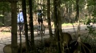 Rowerzyści w lesie