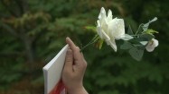 Konstytucja i białe róże w dłoni