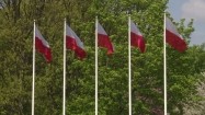 Polskie flagi powiewające na wietrze
