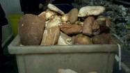Żywność znaleziona wśród śmieci