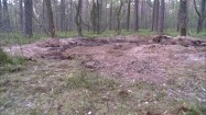 Zasypana dziura w lesie