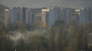 Dym w parku przy osiedlu mieszkaniowym