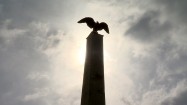 Pomnik orła na obelisku