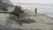 Wybrzeże zniszczone po przejściu orkanu