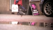 Tablica "Sex shop"