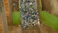 Plastikowe butelki w sortowni śmieci