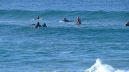 Pływanie na desce surfingowej