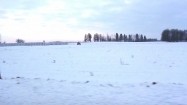 Pola zimą - widok z jadącego samochodu