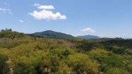 Tereny zielone na Madagaskarze
