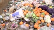 Żywność w kontenerze na śmieci