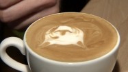 Rysowanie wzoru kota na kawie